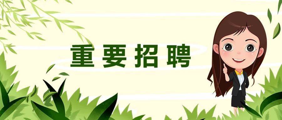 运城最新灵通资讯：聚焦经济发展、文化传承与城市建设