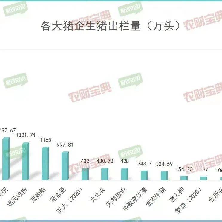 猪再价最新行情：分析影响因素和发展趋势