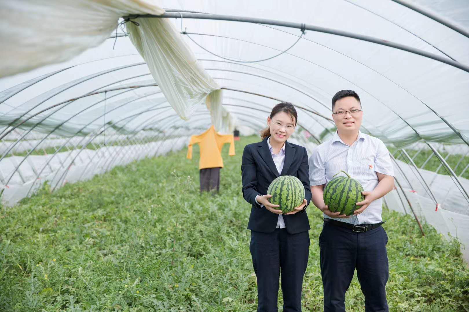 聚焦扶贫最新消息：乡村振兴战略下的精准扶贫新模式及挑战