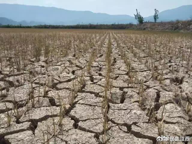 株洲今日天气：实时预报及对生活的影响深度解析