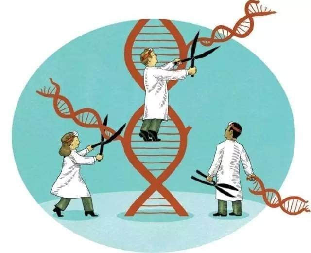 基因治疗最新突破：CRISPR技术革新与免疫细胞疗法的飞跃