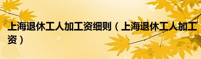 上海最新退休工人招聘信息：解读政策、剖析机遇与挑战