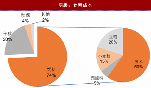 冬季热点 第528页