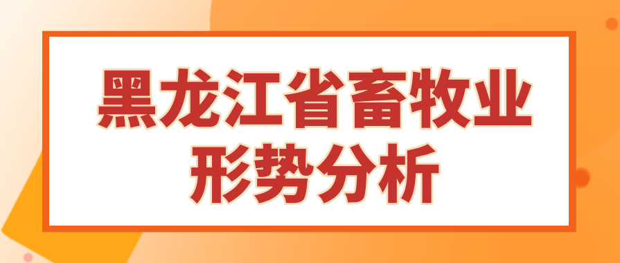 黑龙江生猪价格今日猪价：市场行情分析及未来走势预测