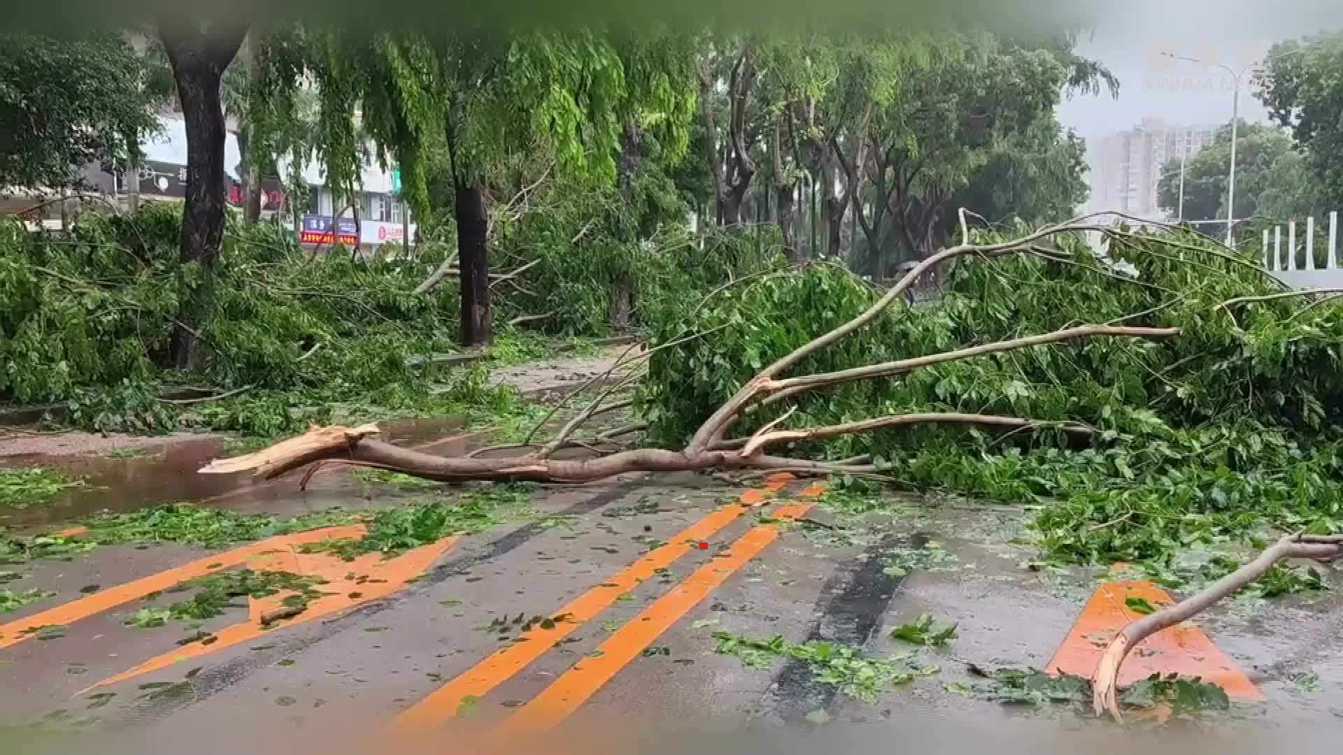 珠海台风最新消息：防御指南、影响评估及未来趋势预测