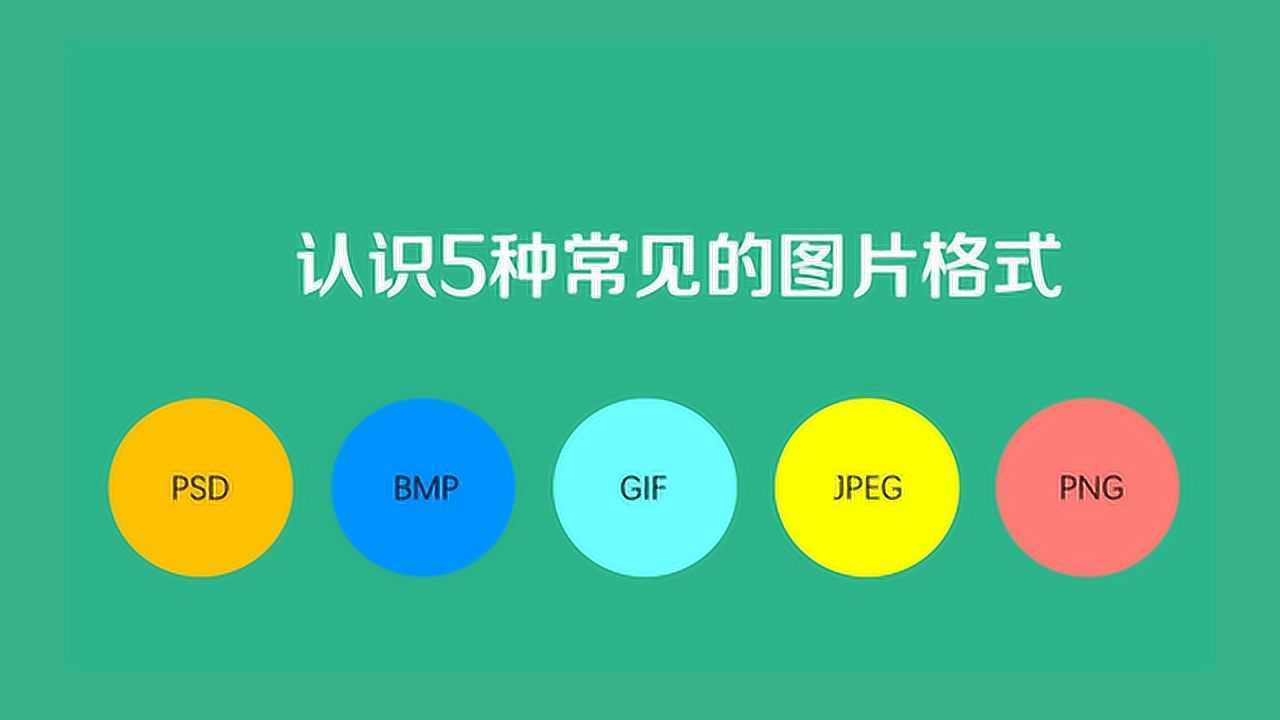 今日推荐图片：观察、分析和将来发展趋势