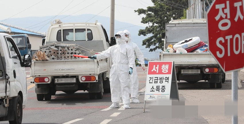 韩国禽流感最新消息：疫情现状、防控措施及未来趋势分析