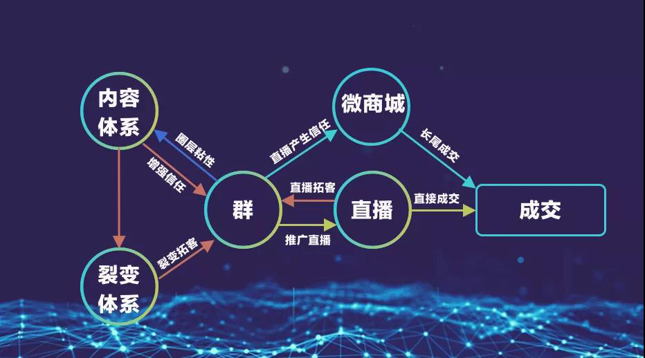 2024最新薇商发展趋势：机遇与挑战并存的时代