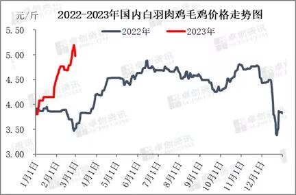 毛鸡最新价格波动分析：影响因素、市场行情及未来预测