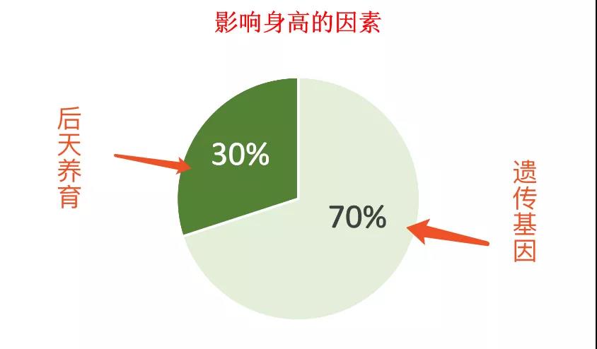 初研儿童身高发育：解析最新身高表及其影响因素