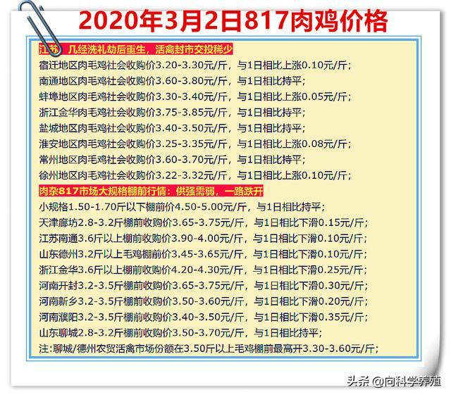 鸡肉价格最新消息：深度解读市场波动及未来走势