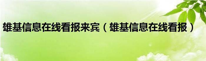 宜州雄基在线看报最新：全面解读及未来展望