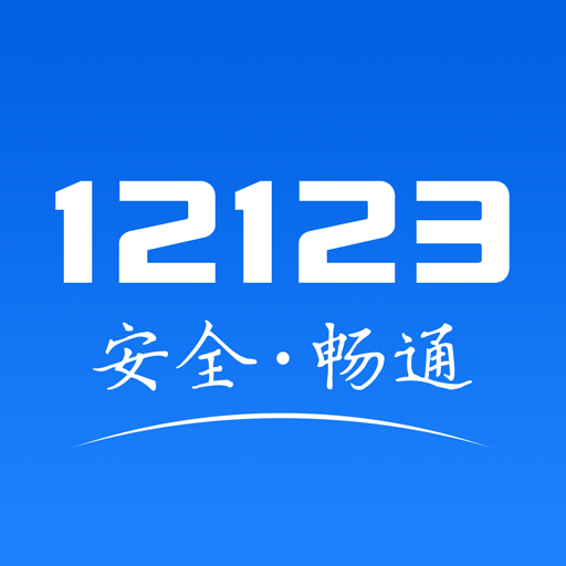 最新机动车违章查询详解：高效便捷的违章信息查询方法及风险提示