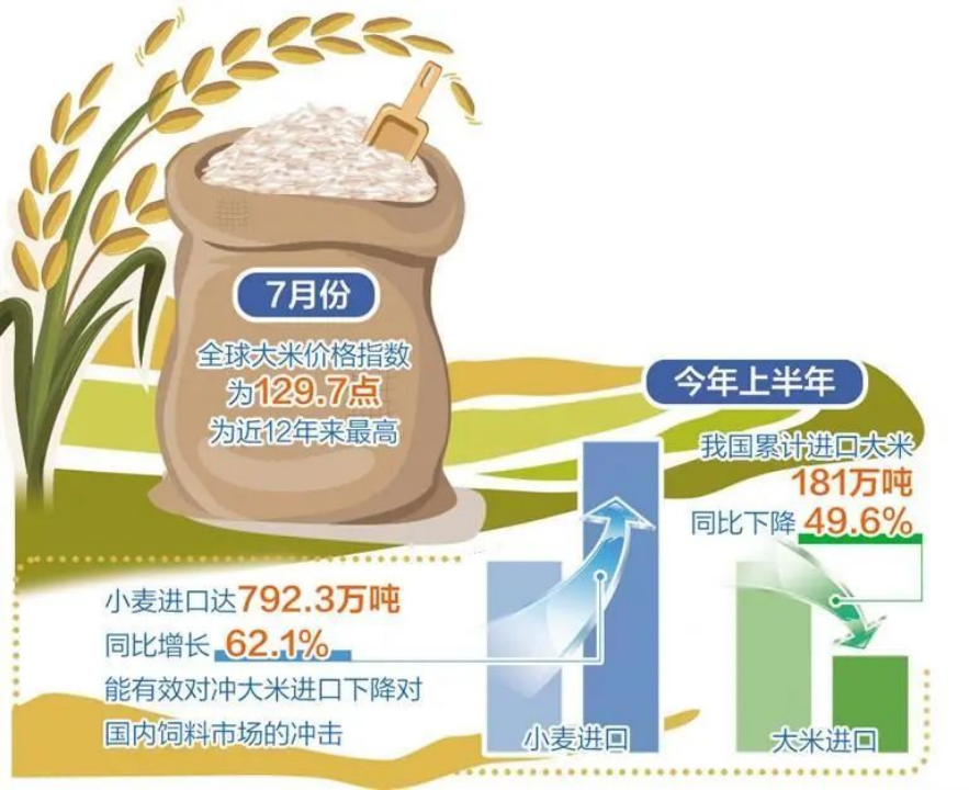 米价最新行情：到底是什么因素造成的？将来趋势如何？