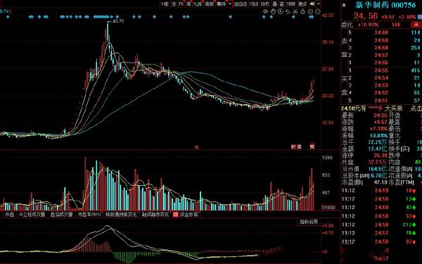 精华制药股吧最新消息：深度解读投资者关注焦点与未来走势