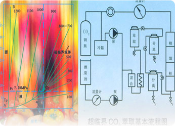 木瓜黄最新研究：功效、风险与未来发展趋势全解析