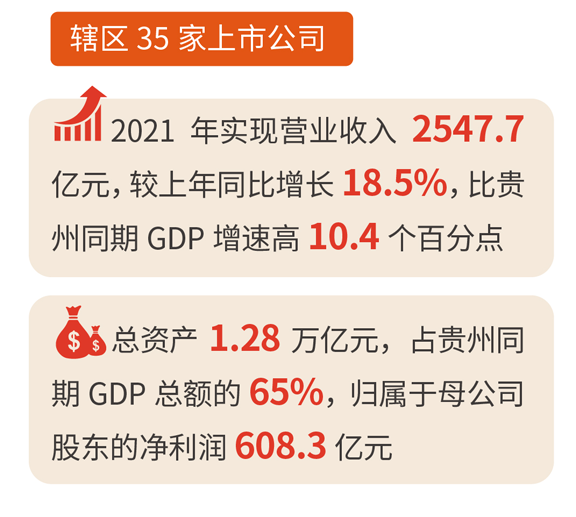 中天金融公司最新信息：深度解读发展现状、未来趋势及潜在风险