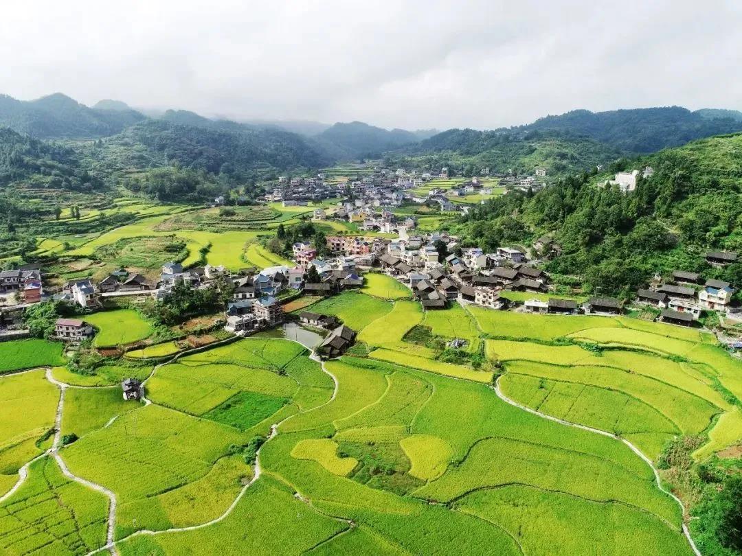 社旗潘河规划最新消息：生态治理、经济发展与未来展望