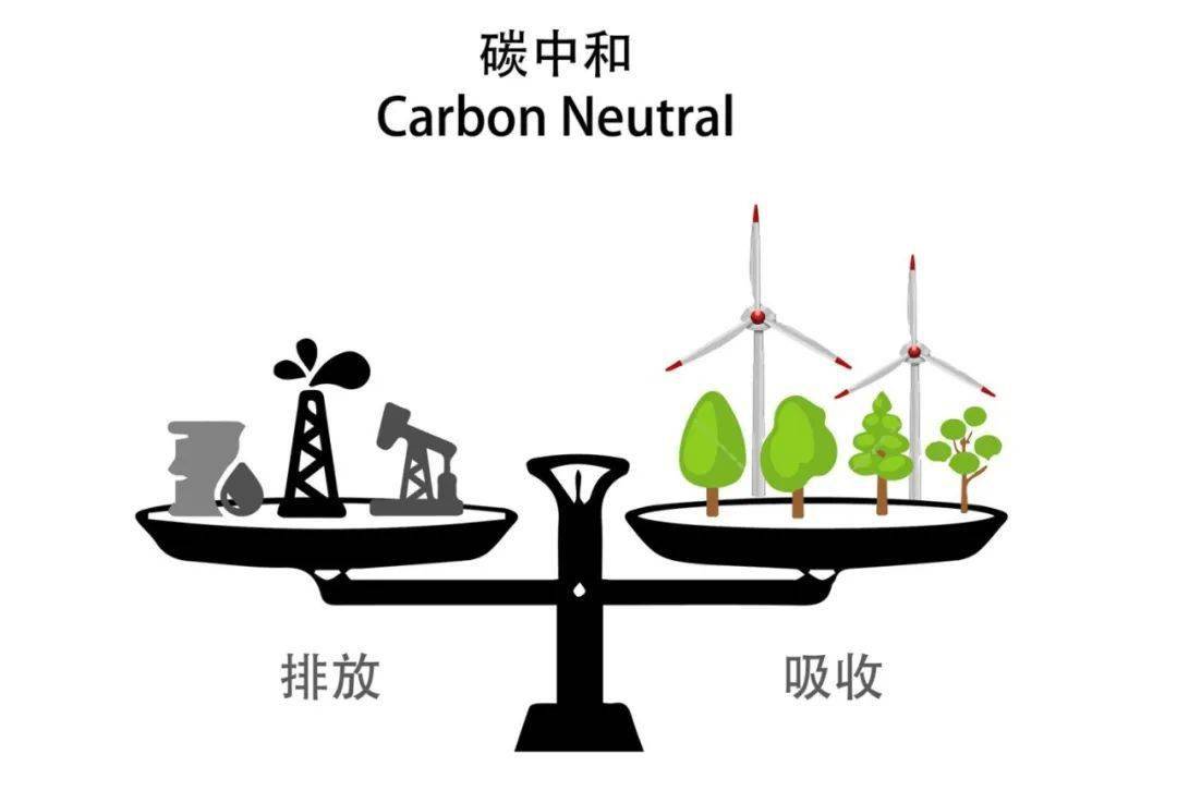 国网今来最新动向：能源转型升级下的战略布局与挑战