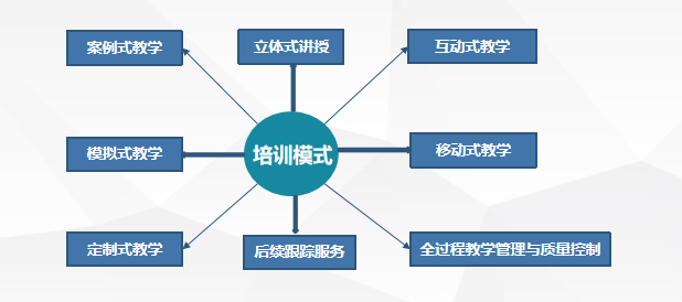 2024最新创业代理项目深度解析：机遇、风险与未来趋势