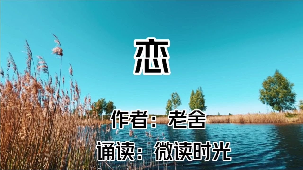 深度解析最新恋老微腐小说趋势：题材演变、读者群体及未来走向