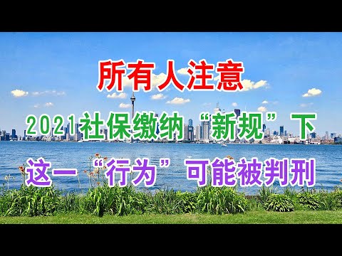 最新社保百科全解：2024年社保政策解读及未来展望