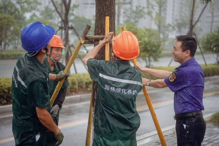 杭州最新台风动态：风雨来袭，如何应对？