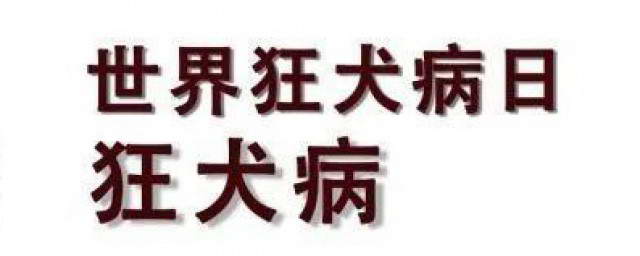 最新权威狂犬病防治指南：疫苗接种、暴露后处理及未来展望