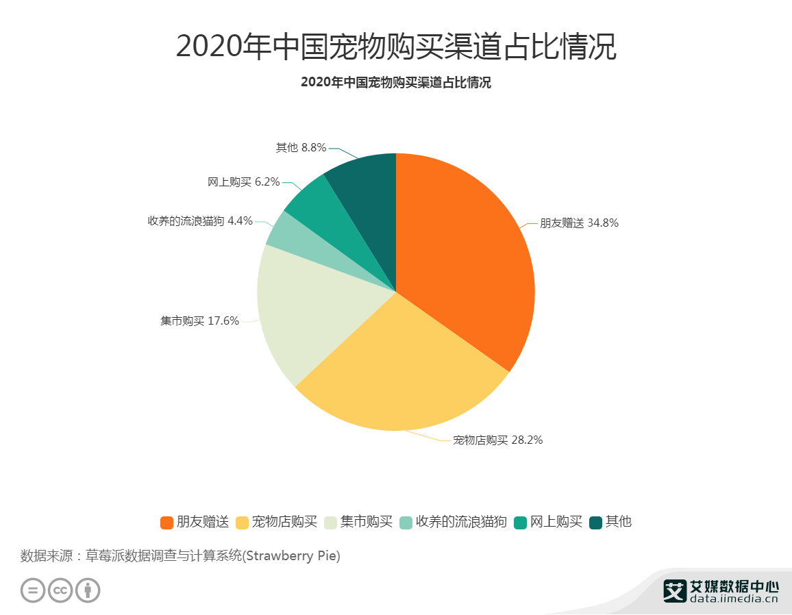 猫最新行情深度解析：品种价格走势及未来发展趋势预测