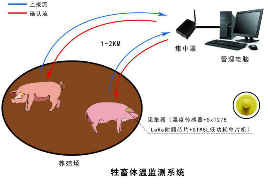 人体最新温度：探秘体温的奥秘与健康新知