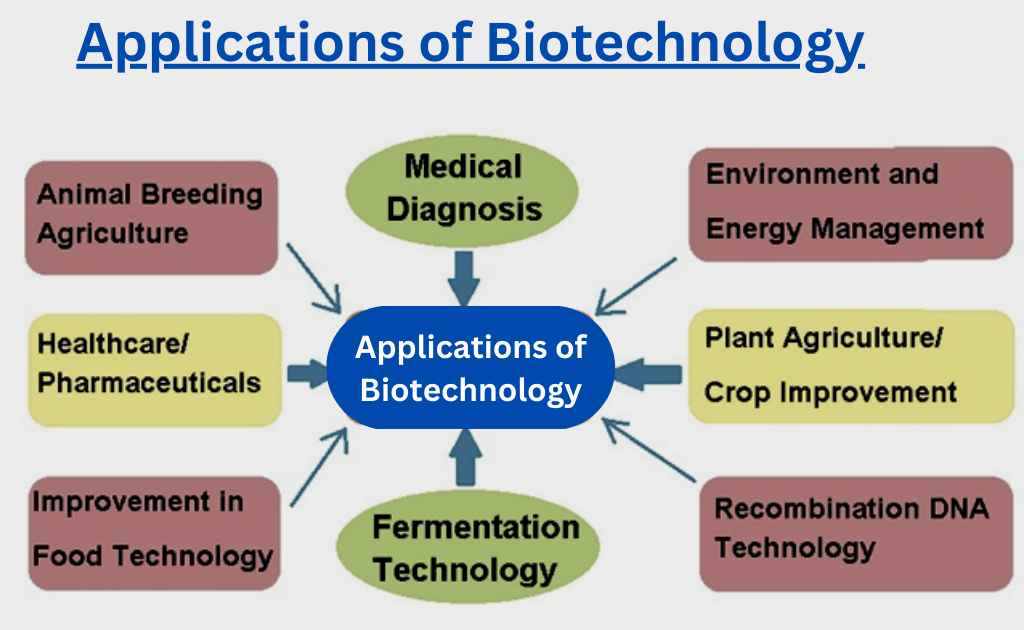 2024年最新虫病研究：趋势、挑战与防控策略