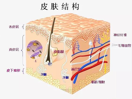 未知领域 第15页