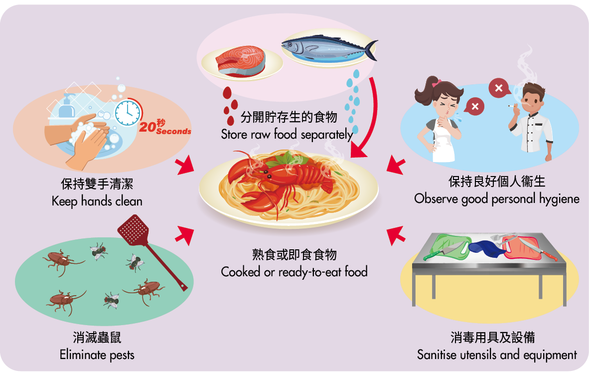 2024最新食品疫情追踪：风险、应对及未来趋势