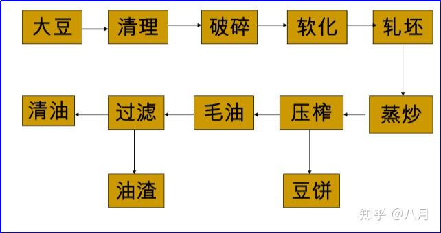 豆粕最新价格消息深度解析：市场行情波动及未来走势预测