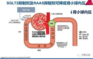 冰原最新显血机制详解：深度剖析狩猎新体验与潜在风险