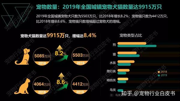 疫情最新狗：宠物市场新变化与未来趋势深度解析