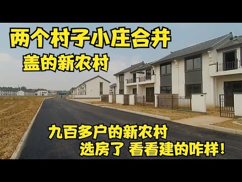 藁城区村合并最新消息：深度解读政策利弊与未来发展