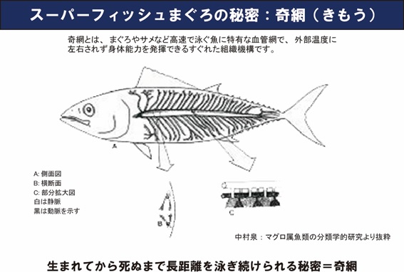 奇奇最新网深度解析：内容生态、用户体验及未来发展趋势