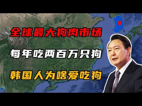 狗肉车最新动态：市场监管、技术革新与未来趋势深度解析