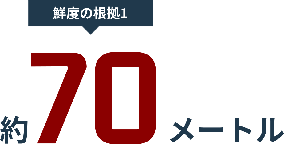 探秘海神：最新动态、未来展望及潜在挑战