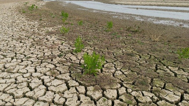 江西鄱阳站最新水位监测：旱情分析与未来展望