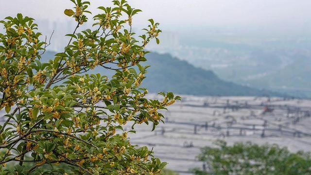 贵州省天柱县最新规划：乡村振兴战略下的发展蓝图与挑战