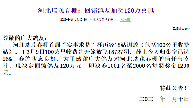 恒翔赛鸽公棚最新公告：赛鸽赛事安排、奖金分配及未来规划深度解读