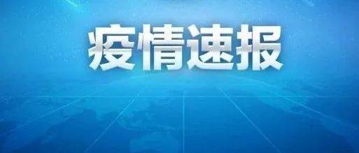 解读最新国内确诊病例数据：疫情走向、防控策略及社会影响分析