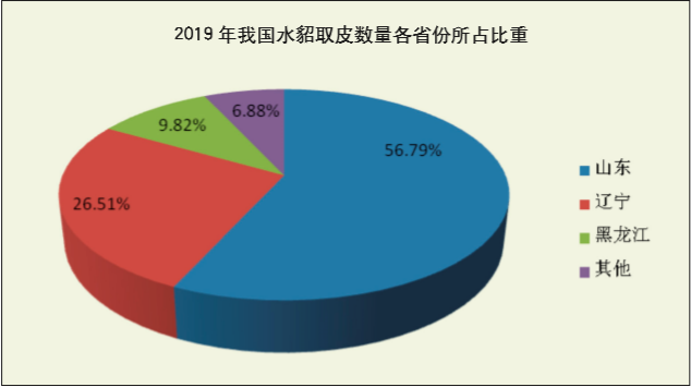 亿饼通最新功能分析：实时更新和将来发展趋势