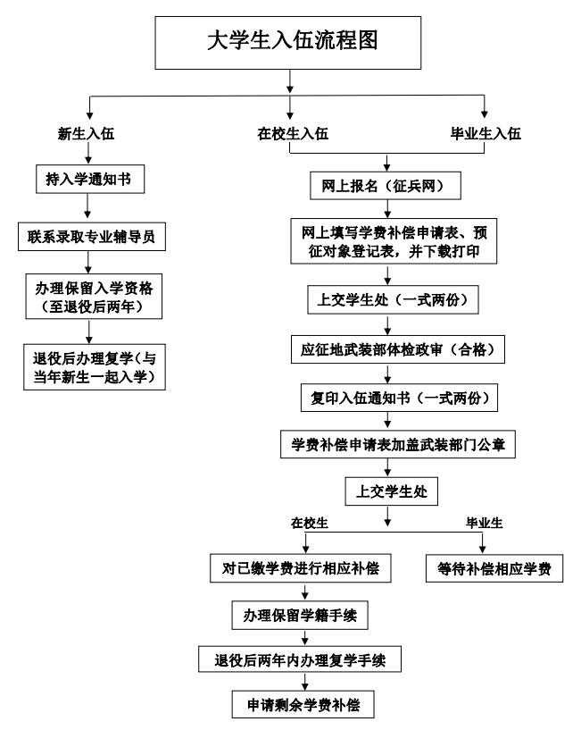 深度解读：最新征兵网，政策变化与未来趋势分析