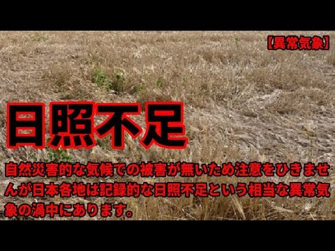 山东日照暴雨最新通知：防汛预警及应对措施详解