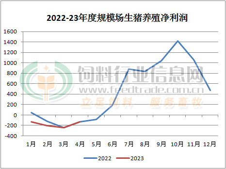 临朐马最新动态：产业发展、市场行情及未来趋势深度解读