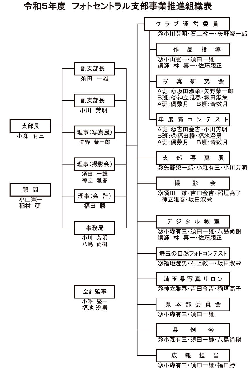 资料解读：最新支部条的内容、影响和进展趋势