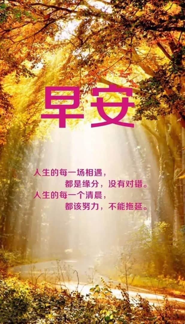 最新早安说说大全：传递美好祝愿的文字艺术与表达方式